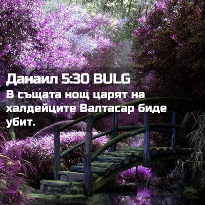 Picture 02 - Данаил 5:30 BULG - В същата нощ царят на - Bible Verse Picture