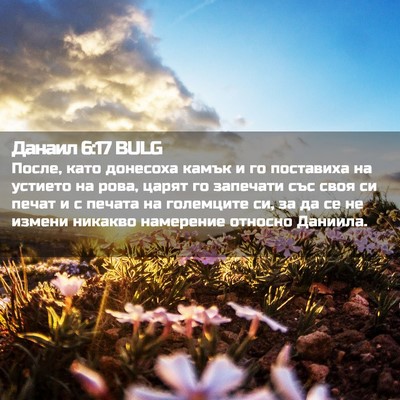 Picture 02 - Данаил 6:17 BULG - После, като донесоха камък - Bible Verse Picture