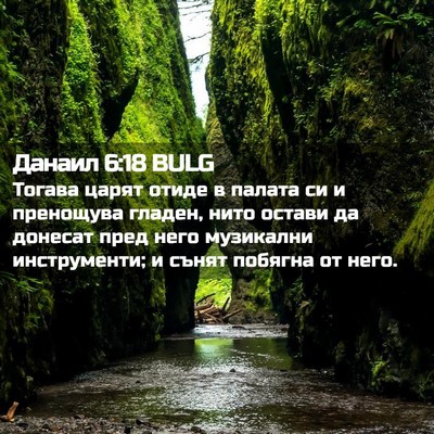 Picture 02 - Данаил 6:18 BULG - Тогава царят отиде в - Bible Verse Picture