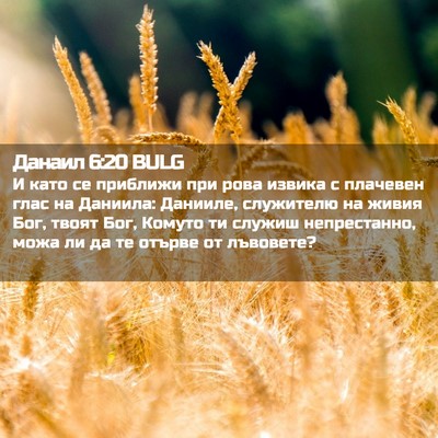 Picture 02 - Данаил 6:20 BULG - И като се приближи при рова - Bible Verse Picture