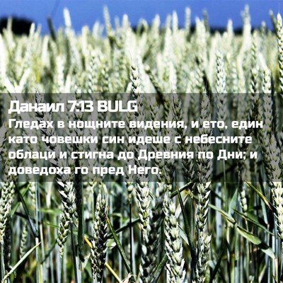 Picture 02 - Данаил 7:13 BULG - Гледах в нощните видения, и - Bible Verse Picture
