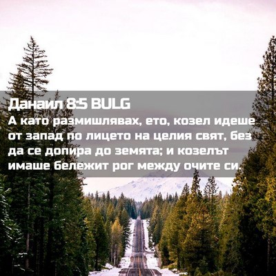 Picture 02 - Данаил 8:5 BULG - А като размишлявах, ето, - Bible Verse Picture