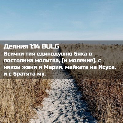Picture 02 - Деяния 1:14 BULG - Всички тия единодушно бяха - Bible Verse Picture