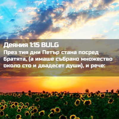 Picture 02 - Деяния 1:15 BULG - През тия дни Петър стана - Bible Verse Picture