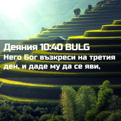 Picture 02 - Деяния 10:40 BULG - Него Бог възкреси на - Bible Verse Picture