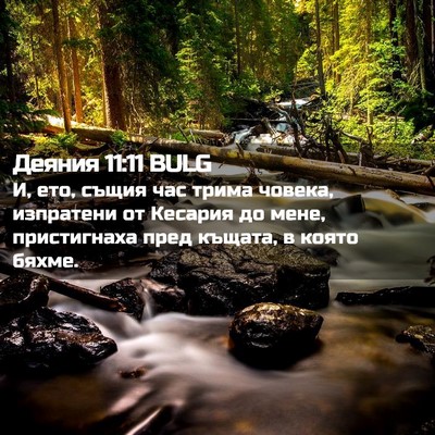 Picture 02 - Деяния 11:11 BULG - И, ето, същия час трима - Bible Verse Picture