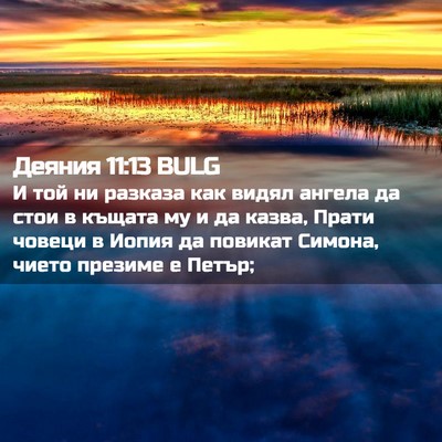 Picture 02 - Деяния 11:13 BULG - И той ни разказа как видял - Bible Verse Picture