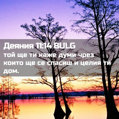Picture 02 - Деяния 11:14 BULG - той ще ти каже думи чрез - Bible Verse Picture