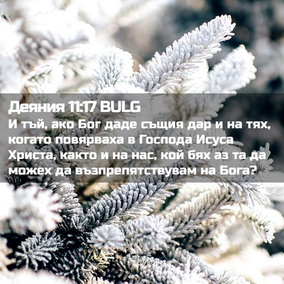Picture 02 - Деяния 11:17 BULG - И тъй, ако Бог даде същия - Bible Verse Picture