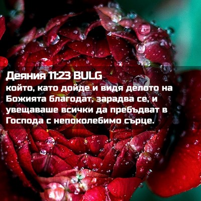 Picture 02 - Деяния 11:23 BULG - който, като дойде и видя - Bible Verse Picture