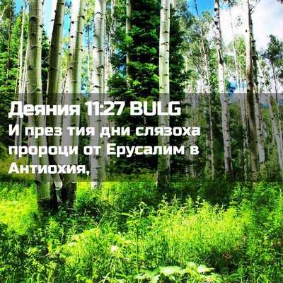 Picture 02 - Деяния 11:27 BULG - И през тия дни слязоха - Bible Verse Picture