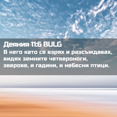 Picture 02 - Деяния 11:6 BULG - В него като се взрях и - Bible Verse Picture