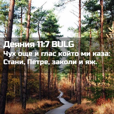 Picture 02 - Деяния 11:7 BULG - Чух още и глас който ми - Bible Verse Picture