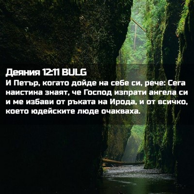 Picture 02 - Деяния 12:11 BULG - И Петър, когато дойде на - Bible Verse Picture