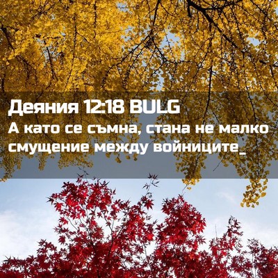 Picture 02 - Деяния 12:18 BULG - А като се съмна, стана не - Bible Verse Picture