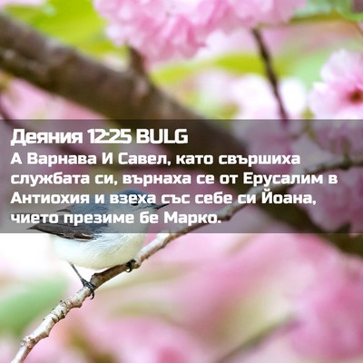Picture 02 - Деяния 12:25 BULG - А Варнава И Савел, като - Bible Verse Picture