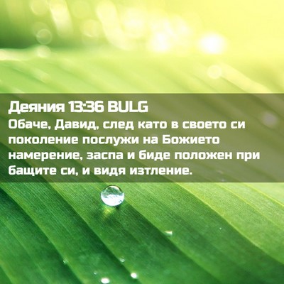 Picture 02 - Деяния 13:36 BULG - Обаче, Давид, след като в - Bible Verse Picture