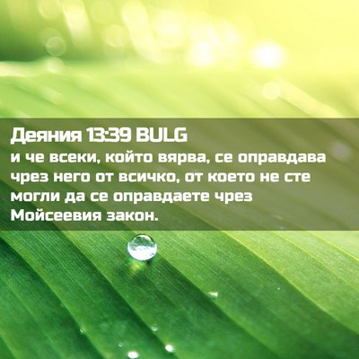 Picture 02 - Деяния 13:39 BULG - и че всеки, който вярва, се - Bible Verse Picture