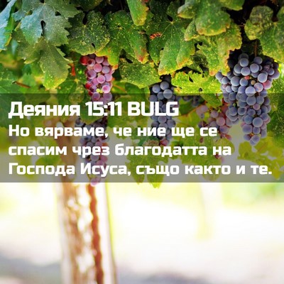Picture 02 - Деяния 15:11 BULG - Но вярваме, че ние ще се - Bible Verse Picture