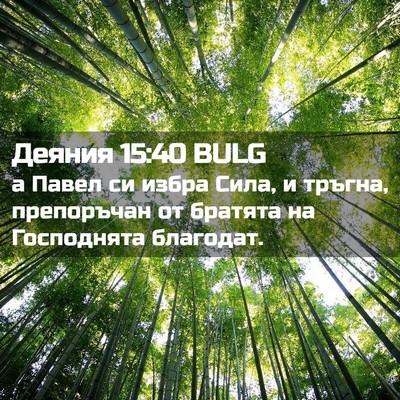Picture 02 - Деяния 15:40 BULG - а Павел си избра Сила, и - Bible Verse Picture