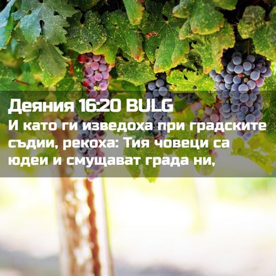 Picture 02 - Деяния 16:20 BULG - И като ги изведоха при - Bible Verse Picture