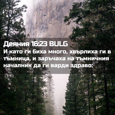 Picture 02 - Деяния 16:23 BULG - И като ги биха много, - Bible Verse Picture
