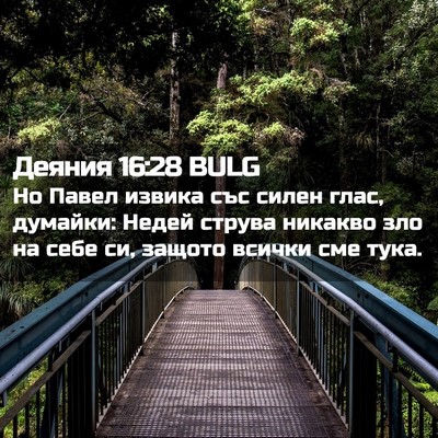 Picture 02 - Деяния 16:28 BULG - Но Павел извика със силен - Bible Verse Picture