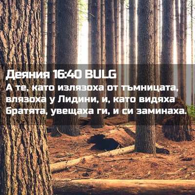 Picture 02 - Деяния 16:40 BULG - А те, като излязоха от - Bible Verse Picture