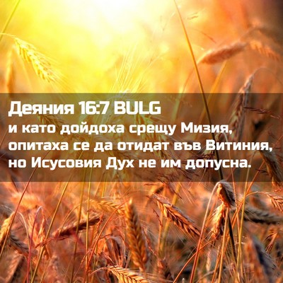 Picture 02 - Деяния 16:7 BULG - и като дойдоха срещу Мизия, - Bible Verse Picture