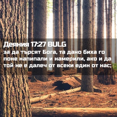 Picture 02 - Деяния 17:27 BULG - за да търсят Бога, та дано - Bible Verse Picture