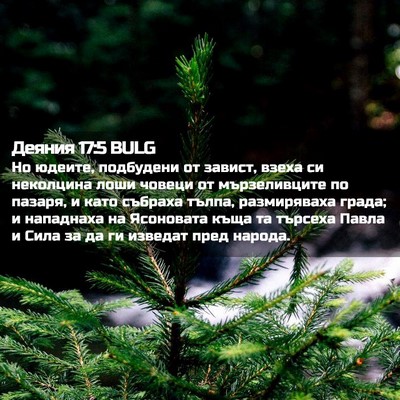 Picture 02 - Деяния 17:5 BULG - Но юдеите, подбудени от - Bible Verse Picture
