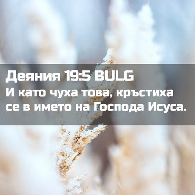 Picture 02 - Деяния 19:5 BULG - И като чуха това, кръстиха - Bible Verse Picture