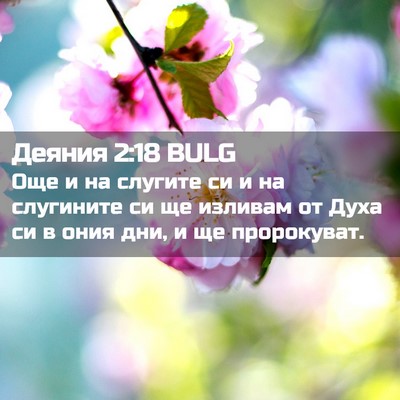 Picture 02 - Деяния 2:18 BULG - Още и на слугите си и на - Bible Verse Picture