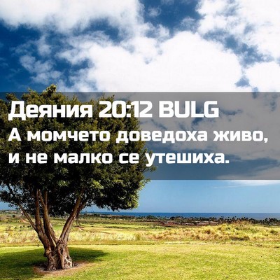 Picture 02 - Деяния 20:12 BULG - А момчето доведоха живо, и - Bible Verse Picture