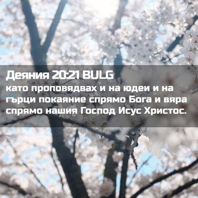 Picture 02 - Деяния 20:21 BULG - като проповядвах и на юдеи - Bible Verse Picture