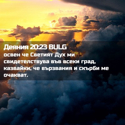 Picture 02 - Деяния 20:23 BULG - освен че Светият Дух ми - Bible Verse Picture