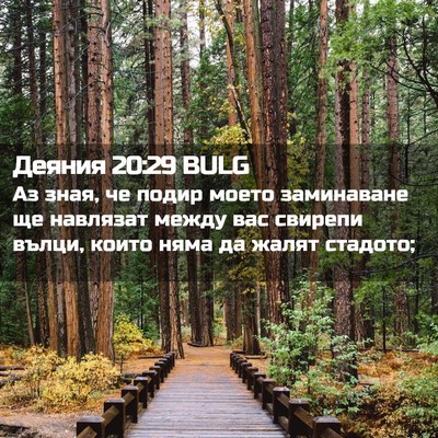 Picture 02 - Деяния 20:29 BULG - Аз зная, че подир моето - Bible Verse Picture