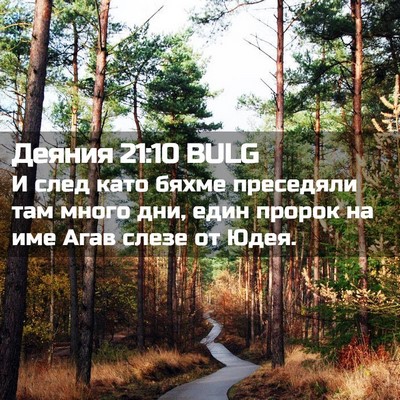 Picture 02 - Деяния 21:10 BULG - И след като бяхме - Bible Verse Picture