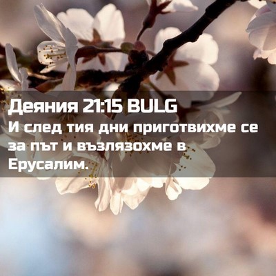 Picture 02 - Деяния 21:15 BULG - И след тия дни приготвихме - Bible Verse Picture