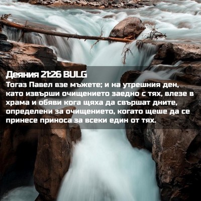 Picture 02 - Деяния 21:26 BULG - Тогаз Павел взе мъжете; и - Bible Verse Picture