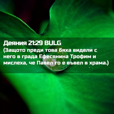 Picture 02 - Деяния 21:29 BULG - (Защото преди това бяха - Bible Verse Picture