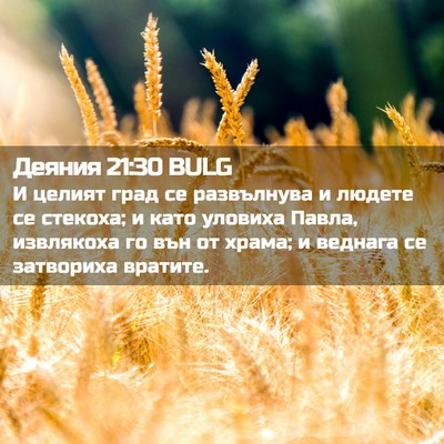 Picture 02 - Деяния 21:30 BULG - И целият град се - Bible Verse Picture