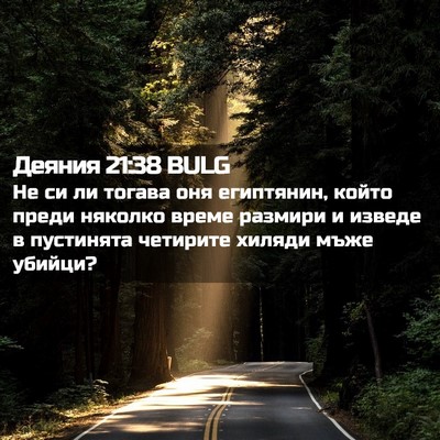 Picture 02 - Деяния 21:38 BULG - Не си ли тогава оня - Bible Verse Picture