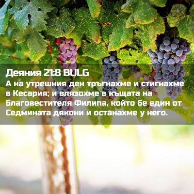 Picture 02 - Деяния 21:8 BULG - А на утрешния ден - Bible Verse Picture