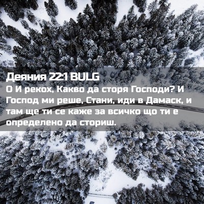 Picture 02 - Деяния 22:1 BULG - О И рекох, Какво да сторя - Bible Verse Picture