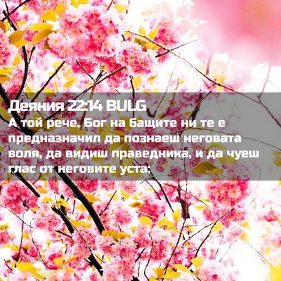 Picture 02 - Деяния 22:14 BULG - А той рече, Бог на бащите ни - Bible Verse Picture