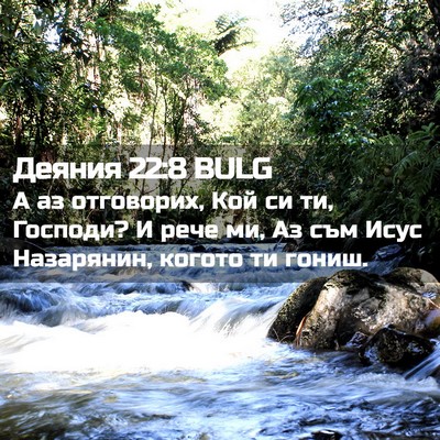 Picture 02 - Деяния 22:8 BULG - А аз отговорих, Кой си ти, - Bible Verse Picture