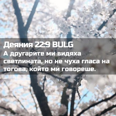 Picture 02 - Деяния 22:9 BULG - А другарите ми видяха - Bible Verse Picture