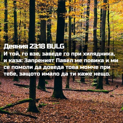 Picture 02 - Деяния 23:18 BULG - И той, го взе, заведе го при - Bible Verse Picture