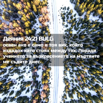 Picture 02 - Деяния 24:21 BULG - освен ако е само в тоя вик, - Bible Verse Picture